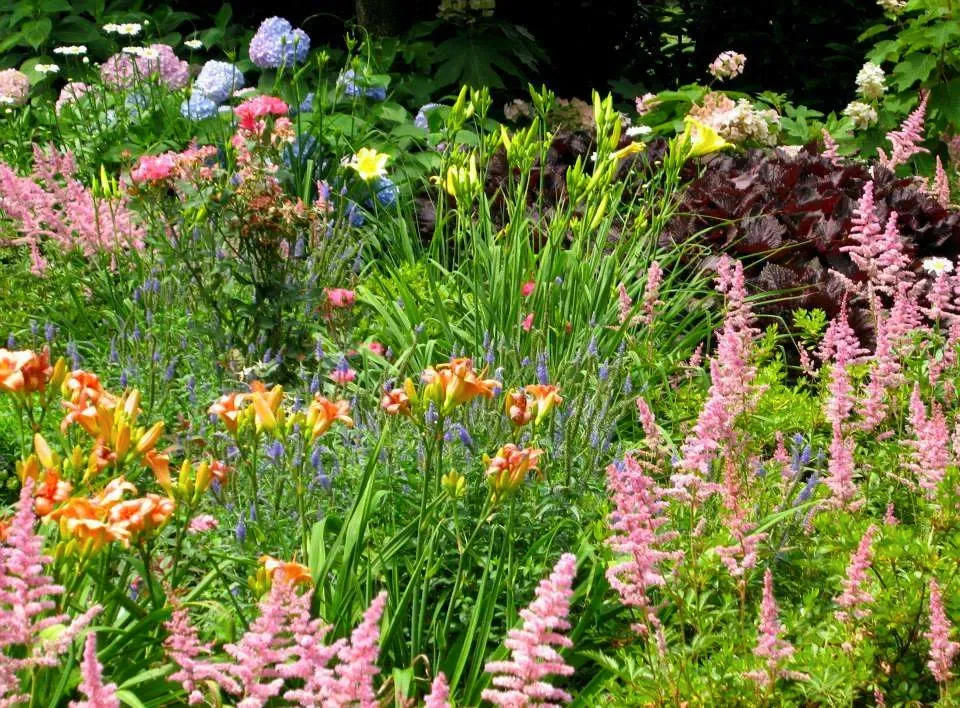 Colorful, carefree urban meadow