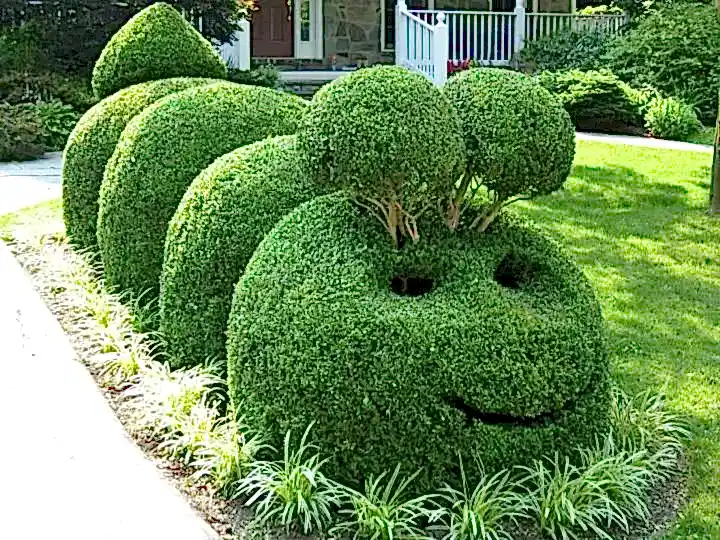 KK the Caterpillar a neighborhood treasure