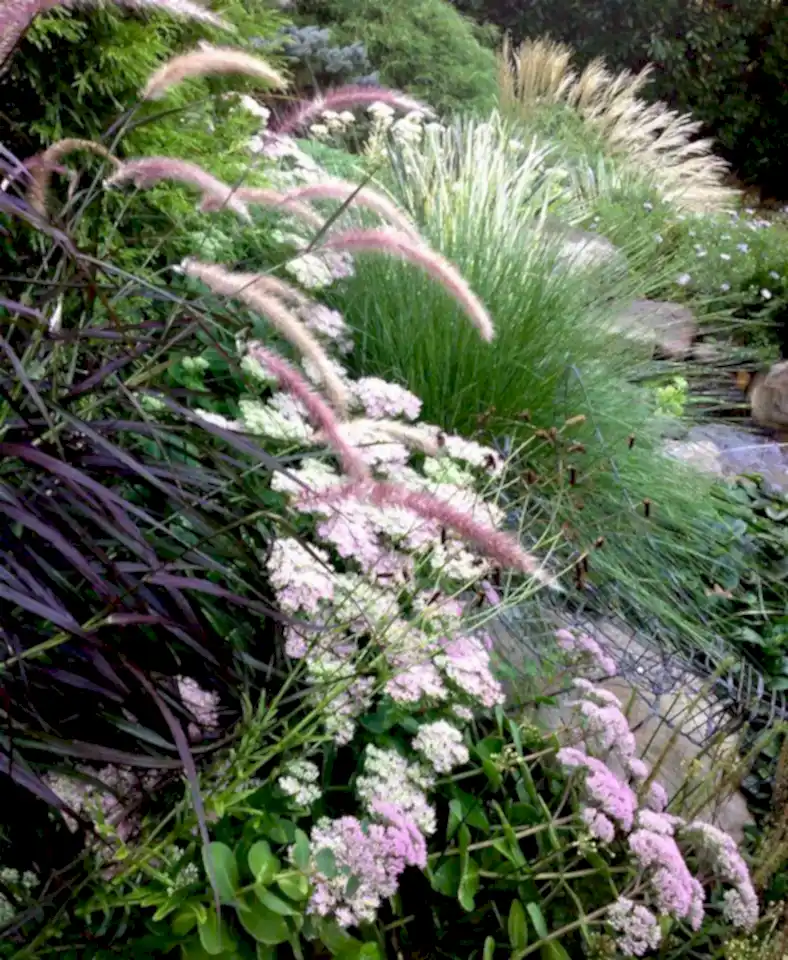 26903914_1608493502522460_5165135382502947623_n